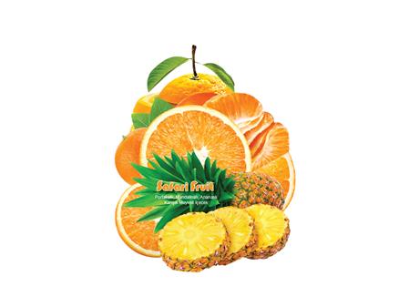 FRUIT JUICE PACKAGING-05